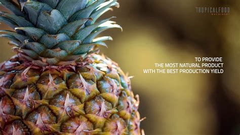 TFM Pineapple Processing Machines .